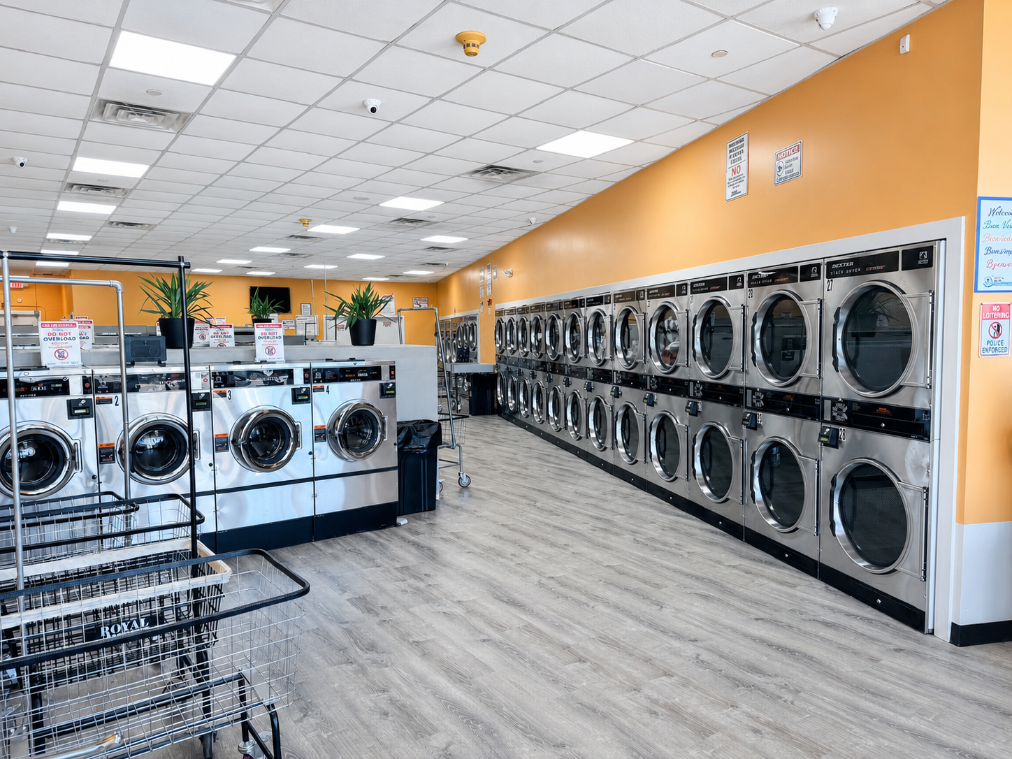 Modern self-service washers and dryers